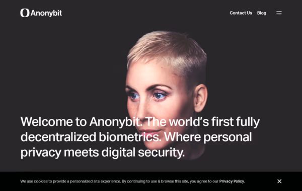 Anonybit Web Design