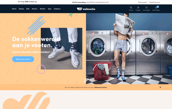 Websocks Web Design