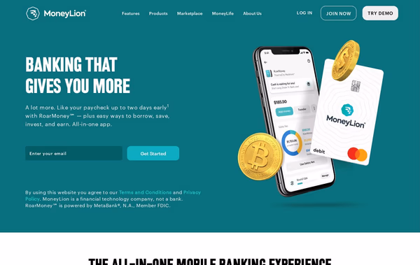 MoneyLion Web Design