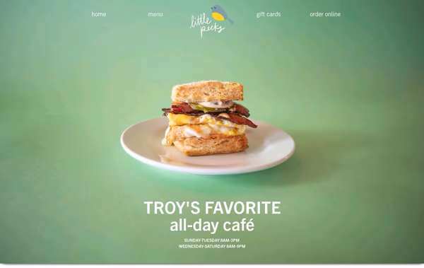 Little Pecks Web Design