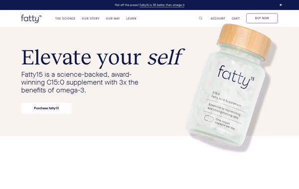 fatty Web Design