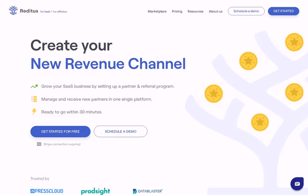 Reditus Web Design