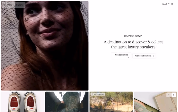 Sneak in Peace Web Design