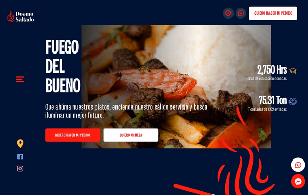 Doomo Saltado Web Design