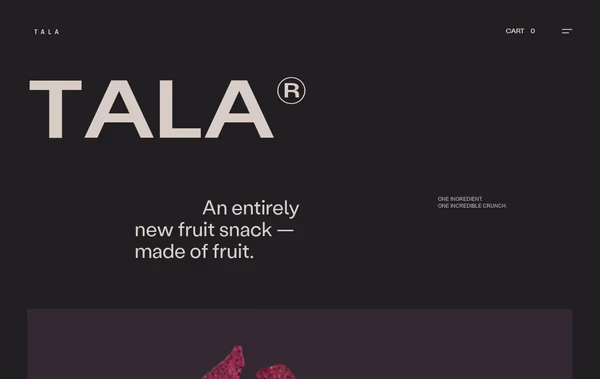 Tala Web Design