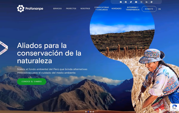 Profonanpe Web Design