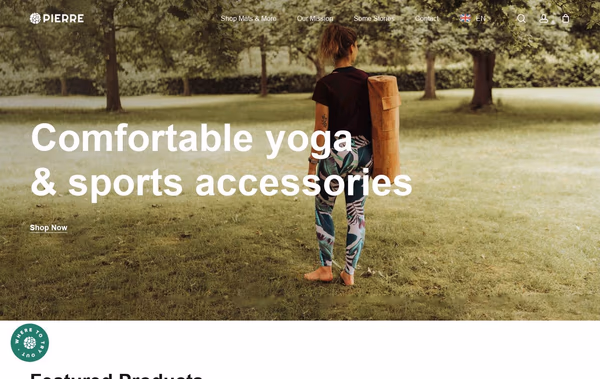 Pierre Sports Web Design