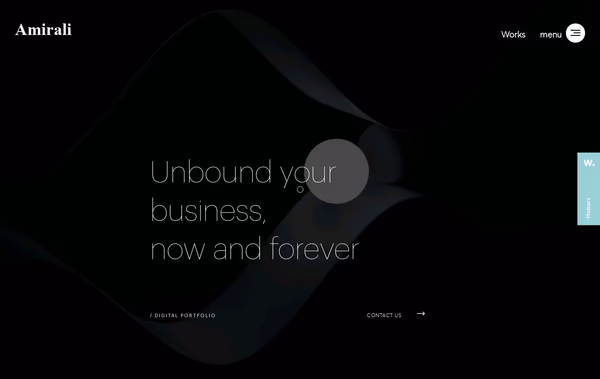 Amirali Adib Web Design