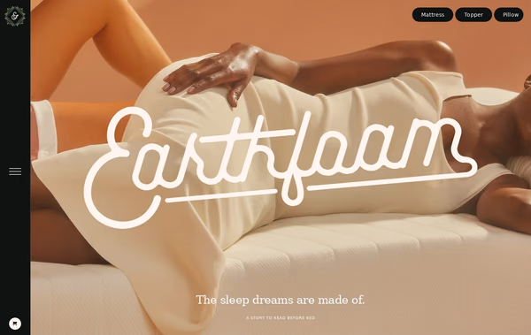 Earth Foam Web Design