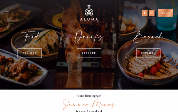 Aluna Web Design