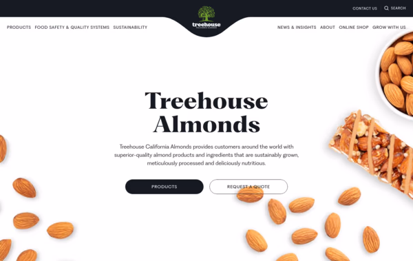 Tree House Web Design