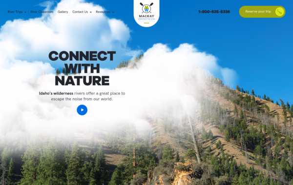 Mackay River Web Design