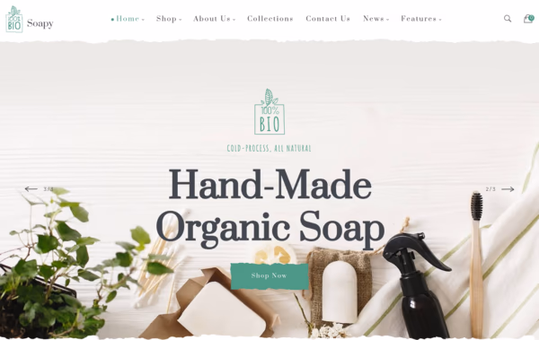 Soapy Web Design