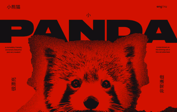 I Red Panda Web Design