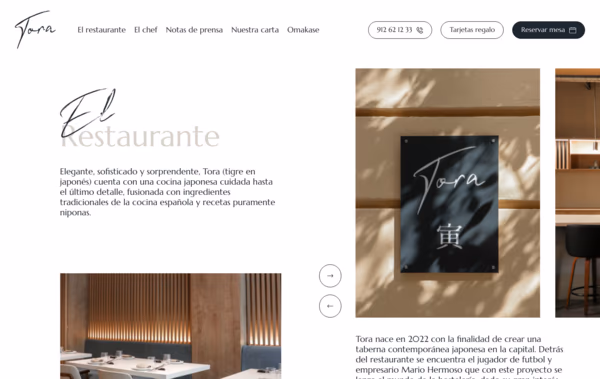 Tora Experience Web Design