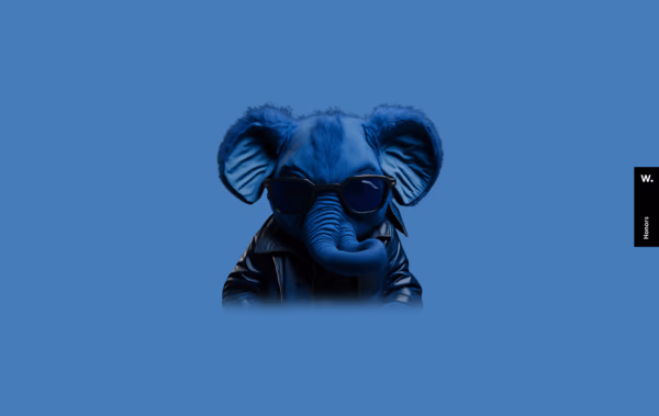 DevelopMonster Web Design