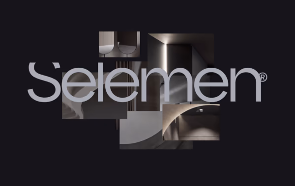 Selemen Web Design
