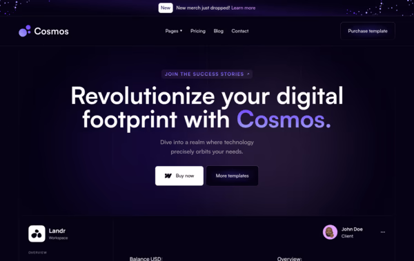 Cosmos Webflow  Web Design