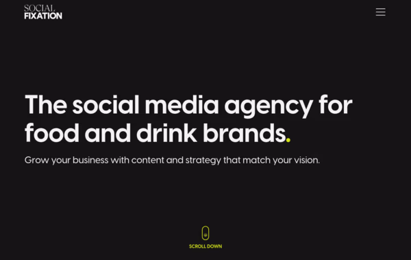 Social Fixation Web Design