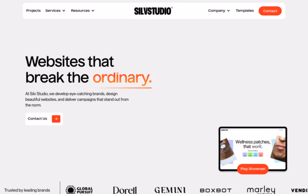 Silv Studio Web Design