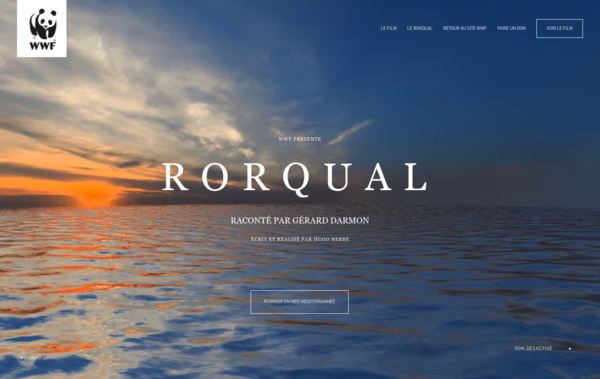 Rorqual Web Design