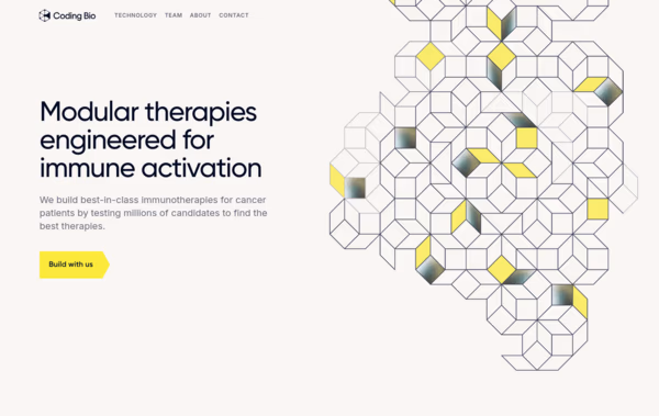 Coding Bio Web Design